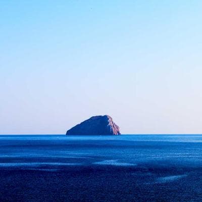 İthal Gıda Ürünleri Ürünü 2