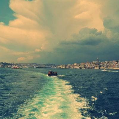 Sertifikalı Gıda Ürünleri Ürünü 10