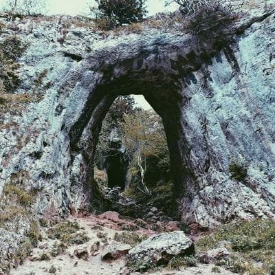 İthal Gıda Ürünleri Ürünü 10