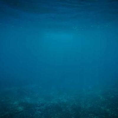 Ekonomik Gıda Ürünleri Ürünü 13