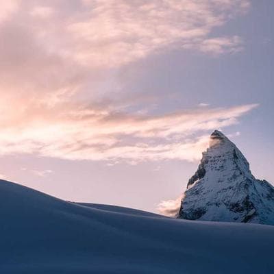 Ekonomik Taze Sebze Ürünü 19